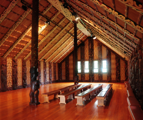 Treaty Of Waitangi Collection